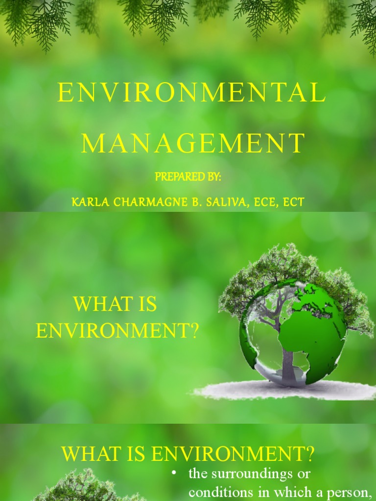 Understanding Environmental Management | PDF | Landslide | Global Warming