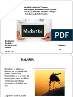 TEMA 14 Malaria.pptx