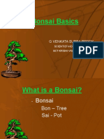 Bonsai Basics: G Venkata Subba Reddy