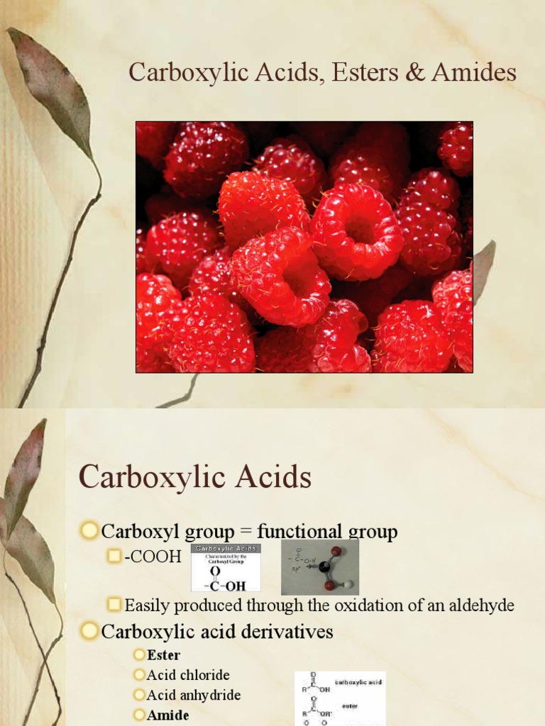Carboxylic Acids, Esters, and Amides Guide | PDF | Ester | Carboxylic Acid