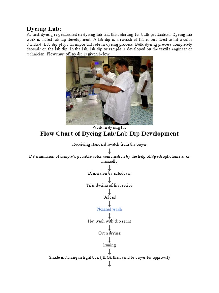 Lab Dip Development PDF Dyeing Dye
