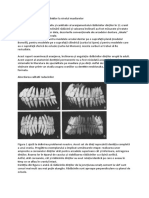 Arrangement in The Jaws of The Roots of The Teeth