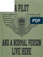 pilot sign2