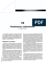 Temas 18 a 19.pdf