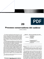 Temas 20 a 21.pdf
