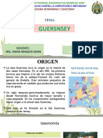 GUERNSAY.pptx