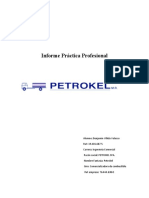 Práctica Profesional Benjamin Villela 2020 Petrokel