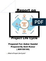 Project Life Cycle