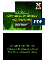 14. Dermatosis ampollosas 