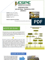 Procesamiento de Aceite de Aceite de Oliva - ANDHY - LOOR