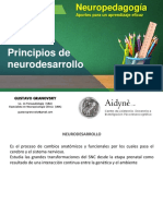 Principios de Neurodesarrollo-Presentacion
