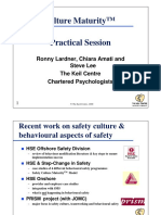 Safety Culture Maturity Practical Session