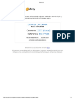 Payments PDF