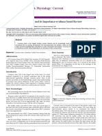 Anatomía Del Seno Coronario y Su Importancia, Revisión Basada en La Evidencia