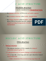 DNA Structure Guide