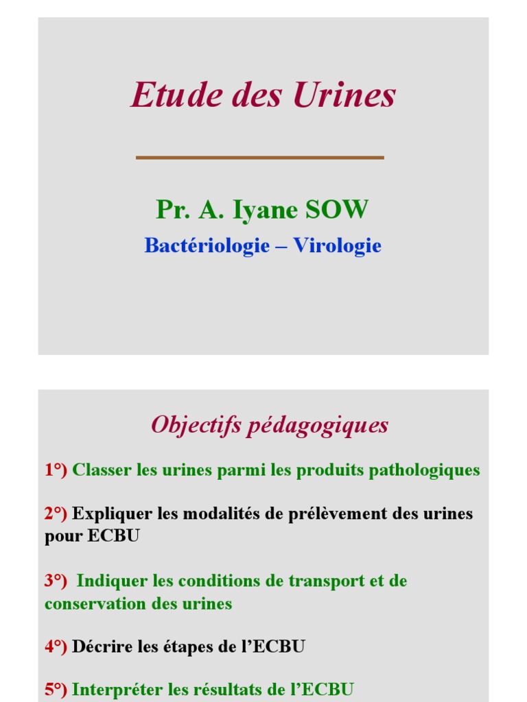 Interprétation de l'ECBU des urines | PDF