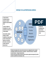 #2 Mapa Conceptual Problema de Antropología Jurídica