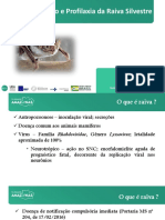 Prevenção e Profilaxia da  Raiva Silvestre 2020.pdf