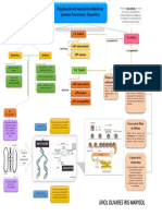 Mapa Conceptual