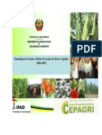 Estrategia Genero Plano Acao Sector Agrario 2025 Moz169524