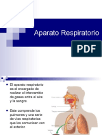 Aparato Respiratorio