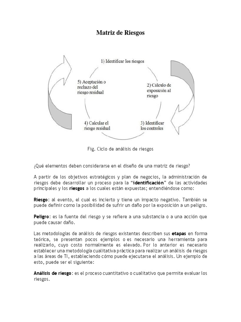 Diseño de Matriz de Riesgos TI | PDF | Riesgo | Gestión de riesgos