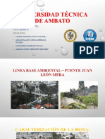 LINEA BASE AMBIENTAL - Puente J.L.M.
