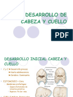 Desarrollo de Cabeza y Cuello