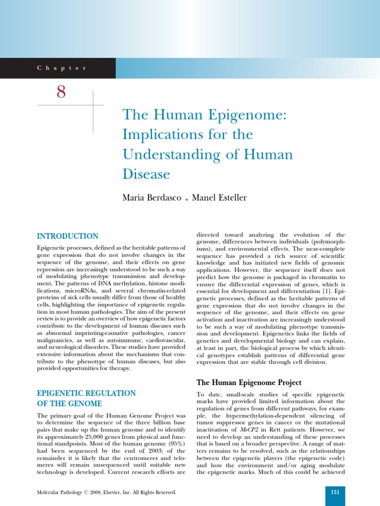 Human Epigenome and Disease Insights | PDF | Epigenetics | Dna Methylation