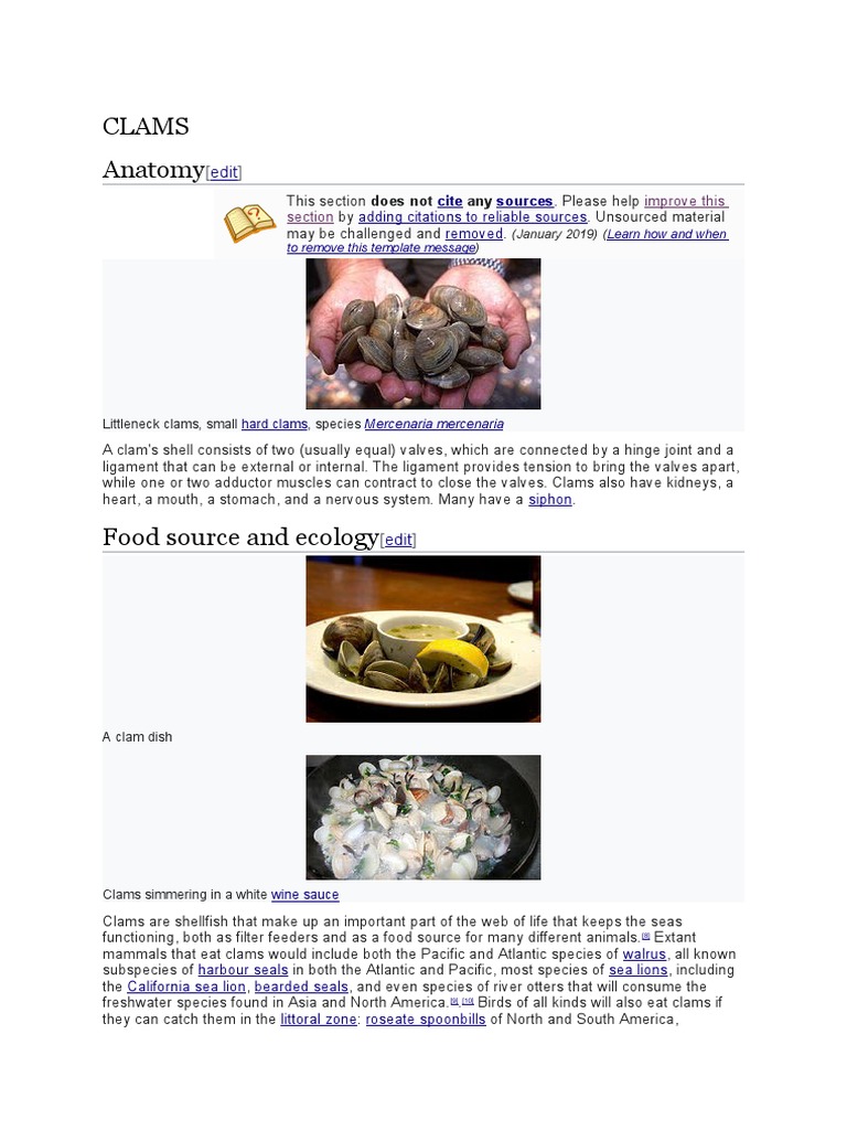 Clam Anatomy, Ecology, and Culinary Uses | PDF | Molluscs | Foods