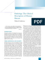 Chapter 11 - Pathology The Clinical Description of Hum - 2009 - Molecular Patho PDF