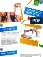 Hipotonia Muscular Ines