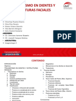 Traumatismos en Dientes y de Las Estructuras Faciales PDF