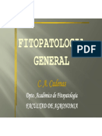 PRESENTACION FG CAPITULO VI.0.pdf