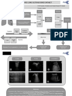 Covid Lung Ultrasound Dataset: Assess For Progression or Resolution