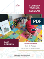 3. Guía de la Fase Intensiva de CTE. Educación Inicial..pdf