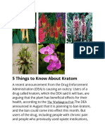 5 Things to Know About Kratom.docx