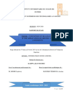 rapport 1.0.pdf