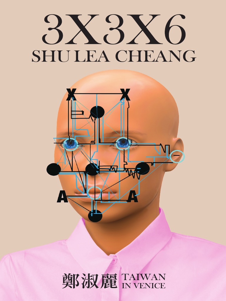 3x3x6 Shu Lea Cheang 19 Aesthetics Internet