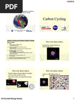 Carbon Cycling: First A Bit About Carbon