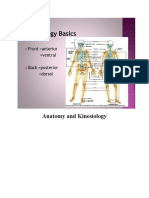 Anatomy and Kinesiology