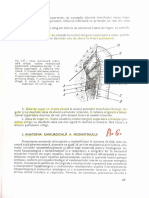 6 a.c. a mediastinului.pdf