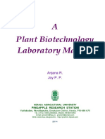 A Plant Biotechnology Laboratory Tips For Contamination Free Tissue Culture Lab