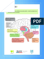 Conoce Tu Cerebro