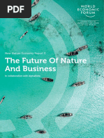 WEF The Future of Nature and Business 2020 PDF