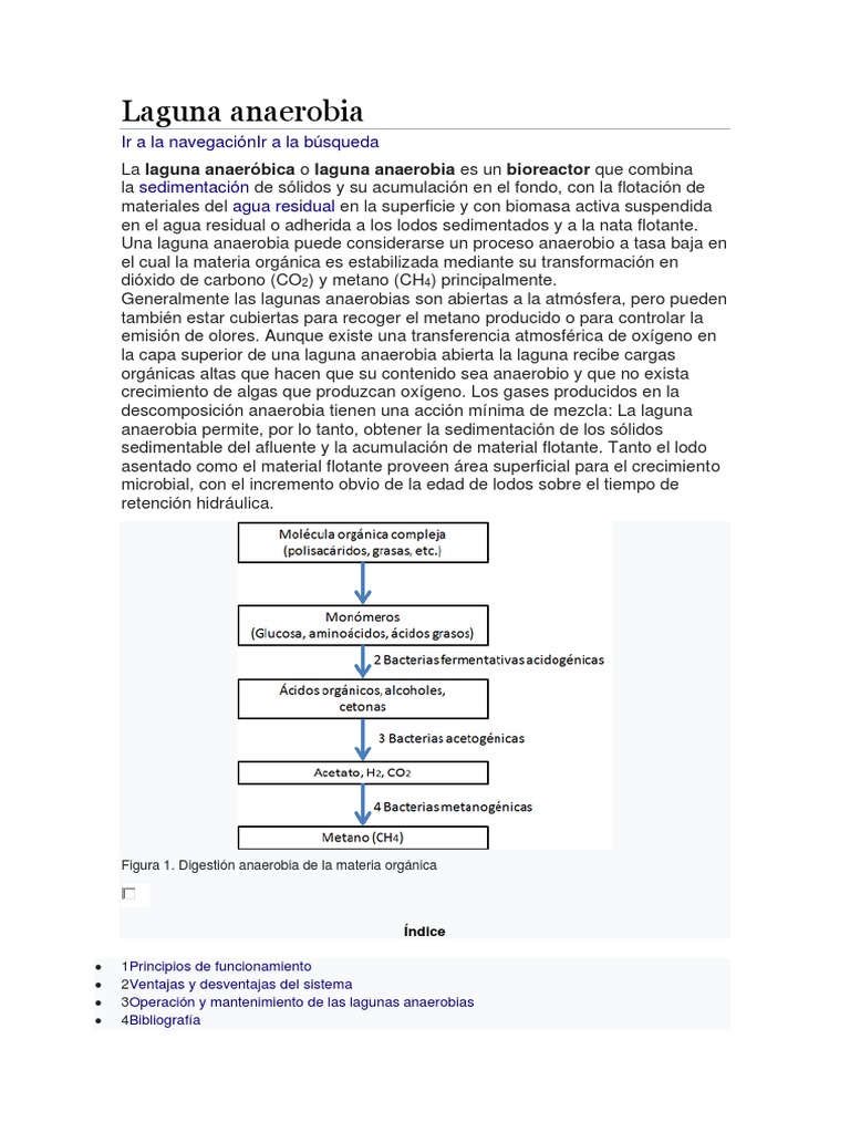 Laguna Anaerobia PDF Metano Digestión anaeróbica