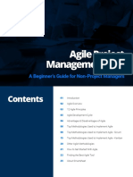 Agile-PM-101-Beginners-Guide-Non-Project-Managers-Updated.pdf