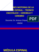 Clase 2 - Funciones Motoras de La Medula Espinal - Tronco Encefálico - Cerebelo y Cerebro 2020-I PDF