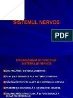 curs 3_SN.ppt