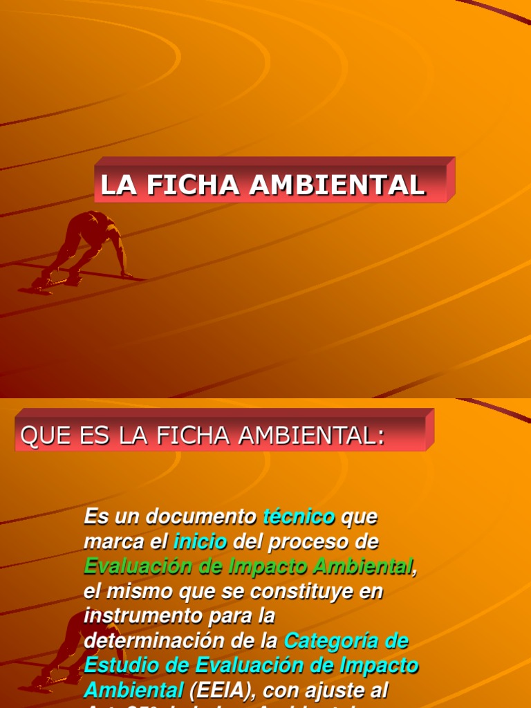 16 Ficha Ambiental | PDF | Evaluación de impacto ambiental | Entorno ...